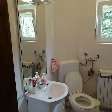 Сasa de vacaciones Vikendica *